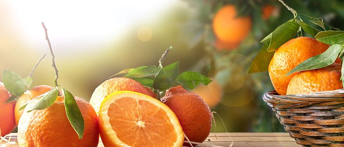 Η εικόνα της αγοράς πορτοκαλιού στην Ευρώπη μέσα από τα στοιχεία της Κομισιόν