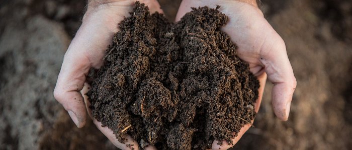 Θρέψη: στο επίκεντρο το σύστημα έδαφος–φυτό