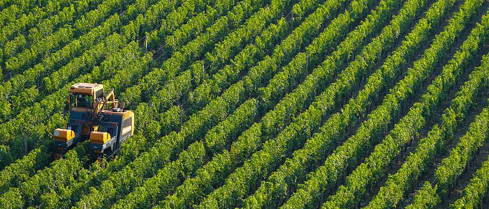 Τι είναι τελικά η Κοινή Αγροτική Πολιτική και γιατί αφορά κάθε καλλιεργητή