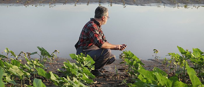 Κατά εξαίρεση ασφαλιστική ικανότητα σε πληγέντες αγρότες και κτηνοτρόφους από φυσικές καταστροφές, τι ισχύει για εργάτες γης