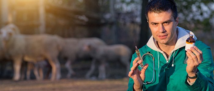 Μειωμένες τιμές και πρόβλημα στις εξαγωγές αν γίνουν εμβόλια για την ευλογιά, λένε οι γαλακτοβιομήχανοι