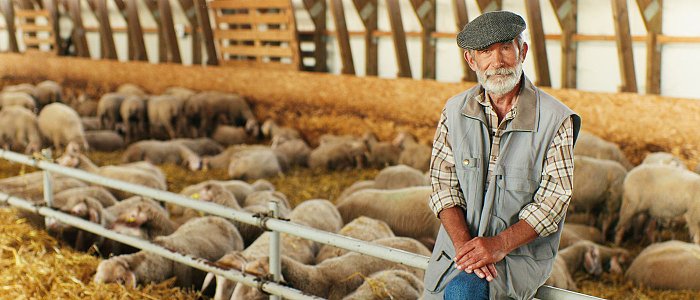 8 νέα κρούσματα αφθώδους πυρετού σε εκτροφές στη Λέσβο, άμεση θανάτωση όλων των ζώων στις μολυσμένες εκτροφές