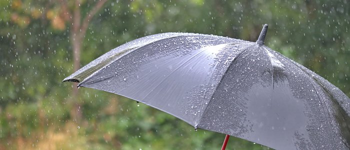 Ανακοινώθηκε παράταση προθεσμίας υποβολής δηλώσεων ΟΣΔΕ του 2025