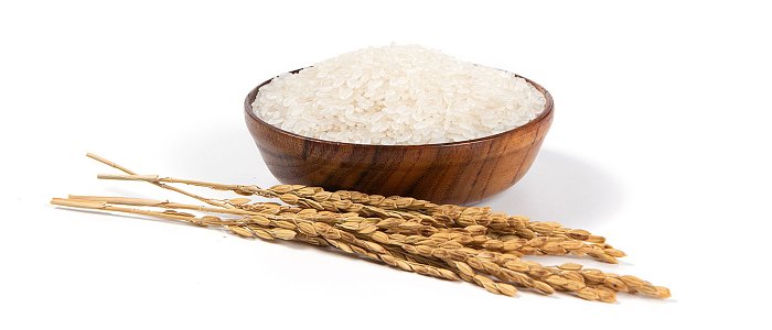 Μετά το βαμβάκι, το σιτάρι και την μηδική ο Τσιάρας βάζει και το ρύζι στην λίστα των καλλιεργειών για στήριξη