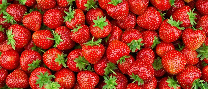 Θερμοκηπιακή φράουλα: Αυξημένες ποσότητες και πιεσμένες τιμές διαμορφώνουν την αγορά