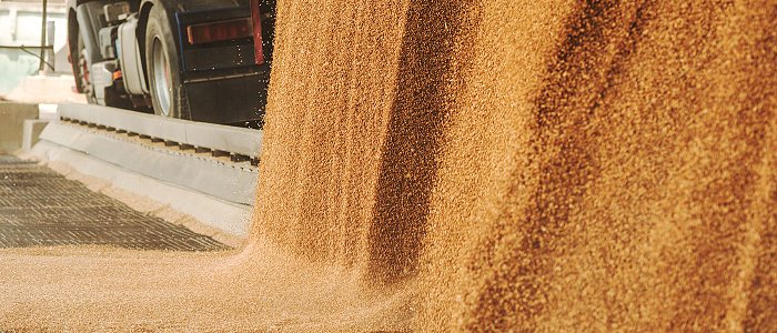 Διαγωνισμοί σιταριού: Τιμές που αγόρασε 200 χιλιάδες τόνους η Τυνησία και 907 χιλιάδες τόνους η Σαουδική Αραβία