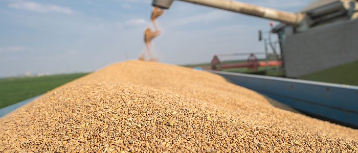 Τιμές που αγόρασε η Τυνησία μαλακό και σκληρό, προβλέψεις παραγωγής και εαρινές φυτεύσεις σιταριού στον Καναδά