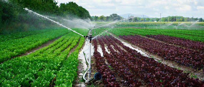 Πριν αρχίσουν τα ποτίσματα: Τι πρέπει να κάνεις ώστε το αρδευτικό δίκτυο να λειτουργεί σωστά