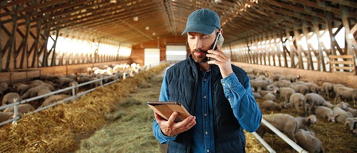 Υπερψηφίστηκε το νομοσχέδιο για την στήριξη κτηνοτρόφων, τα μέτρα που περιλαμβάνει