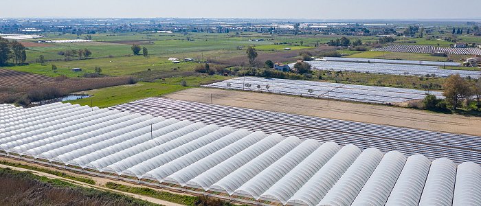 Ταχύρρυθμο Σεμινάριο για Τεχνικές θερμοκηπιακών καλλιεργειών από ΕΛΓΟ - ΔΗΜΗΤΡΑ