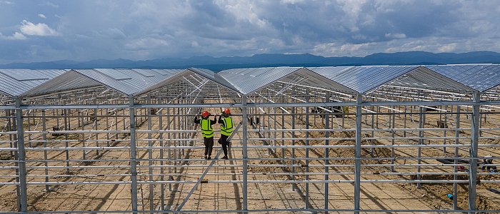 Παράταση καταληκτικής ημερομηνίας υποβολής αιτήσεων για επενδύσεις στα θερμοκήπια