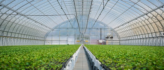 Αίτημα παράτασης αιτήσεων για Παρέμβαση Π3-73-2.9 επενδύσεις σε θερμοκήπια και στέγαστρα φυτικής παραγωγής