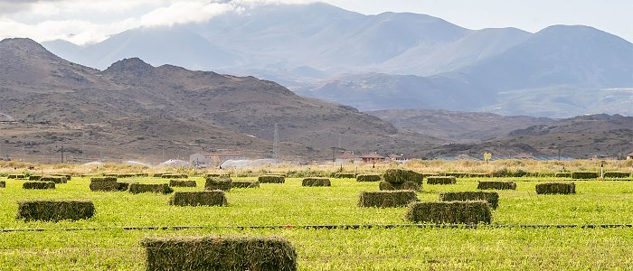 Πότε θα χορηγηθούν de minimis μηδικής, πότε ολοκληρώνεται αξιολόγηση Νέων Αγροτών και θα γίνουν πληρωμές