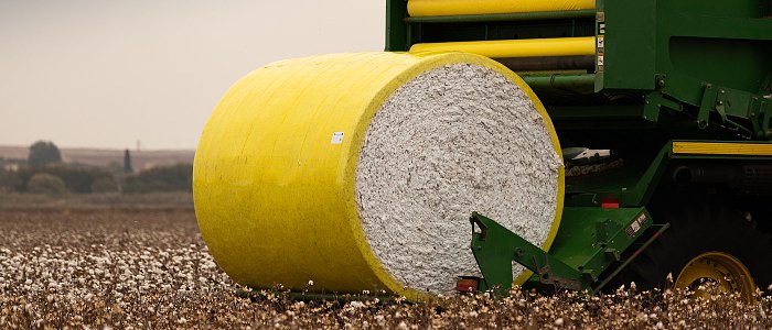 Βαμβάκι: Λευκός χρυσός με ζόρια - Τι είπε ο πρόεδρος Διεπαγγελματικής Βάμβακος στην Αγροτική Διακομματική Επιτροπή της Βουλής
