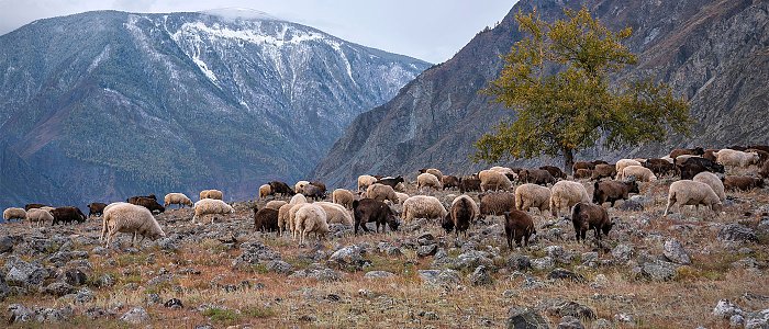 Ανακοινώθηκε τo κονδύλι εξισωτικής αποζημίωσης του 2024 και θα γίνει συμπληρωματική πληρωμή