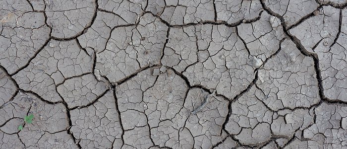 Υψηλές θερμοκρασίες και ξηρασία ταλαιπώρησαν τις θερινές καλλιέργειες της νότιας και ανατολικής Ευρώπης