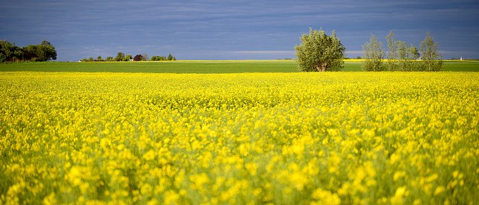 Δίνουν παράταση για φωτογραφίες γιατί δεν λειτουργεί η εφαρμογή, πότε θα γίνουν πληρωμές, ποιοι χάνουν ΕΦΚ πετρελαίου