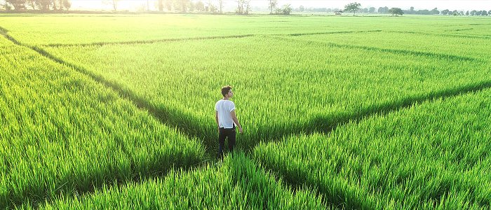 Έως το 40% των ενισχύσεων της ΚΑΠ καταλήγει στο 1% των δικαιούχων – Τι δείχνει σχετική μελέτη