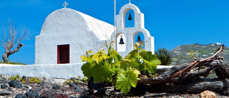 Στο ΦΕΚ η ταξινόμηση ποικιλιών αμπέλου, ιστορική απόφαση για ελληνικό αμπελώνα