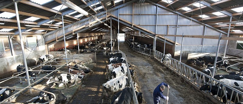 Επενδύσεις αγροτικoύ τομέα που μπορούν να ενταχθούν στον αναπτυξιακό, όριο 600.000 ευρώ