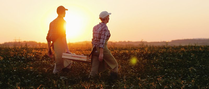 Έρχεται παράταση έως 30 Ιουνίου 2026 για την υποβολή αιτήσεων για εργάτες γης