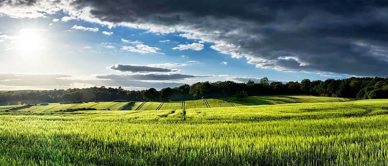 «Χαρταετό» πέταξαν οι στενοί συνεργάτες του πρωθυπουργού στην εξεταστική επιτροπή για τον ΟΠΕΚΕΠΕ