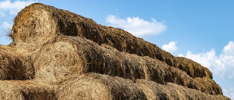 Στα 2,14 εκατ. ευρώ τα de minimis ενίσχυσης για μηδική και βιομηχανική τομάτα