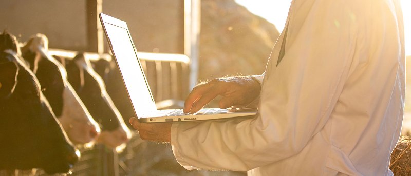 Μέχρι 30 Απριλίου η πλατφόρμα τηλεκπαίδευσης κτηνοτρόφων, μετά χάνουν την συνδεδεμένη ενίσχυση