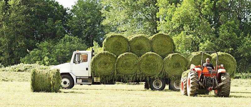 Τι αλλάζει στη διακίνηση ζωοτροφών, το βάρος πέφτει σε βιοασφάλεια, ιχνηλασιμότητα και απολύμανση