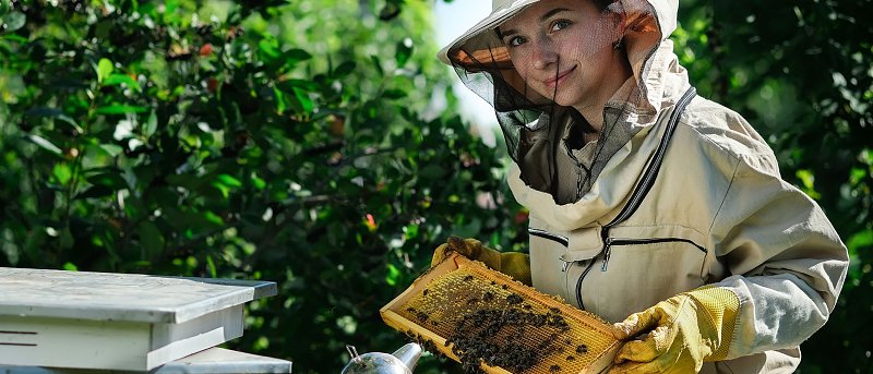 Νέα Δράση για τα Μελισσοκομικά Προϊόντα: Όλες οι αλλαγές για ποιότητα και πιστοποίηση
