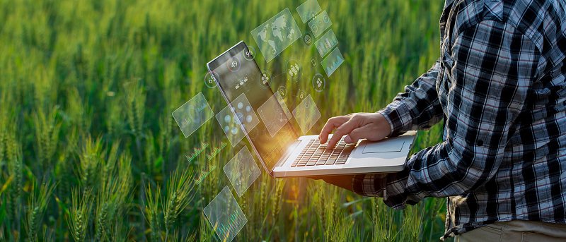 Απλήρωτα 600 χιλιάδες αγροτεμάχια για ενισχύσεις του 2025, τι πρέπει να γίνει για να προχωρήσει η πληρωμή