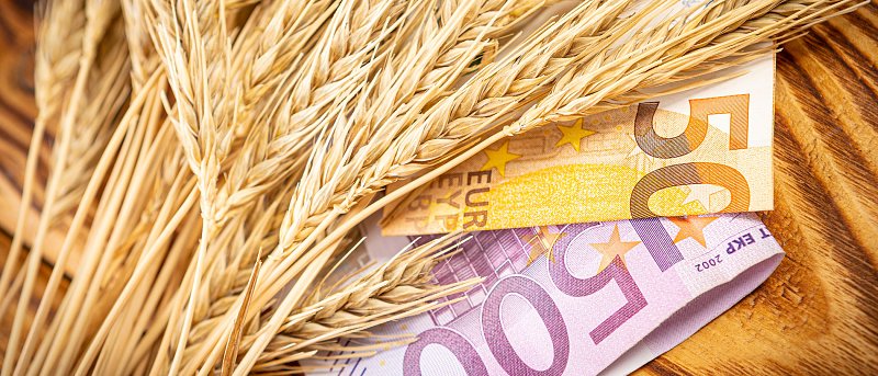 Θέλει πολιτική απόφαση για να «τρέξει» πρόγραμμα ad hoc σε παραγωγούς σιτηρών, συνολικού ύψους 77 εκ. ευρώ