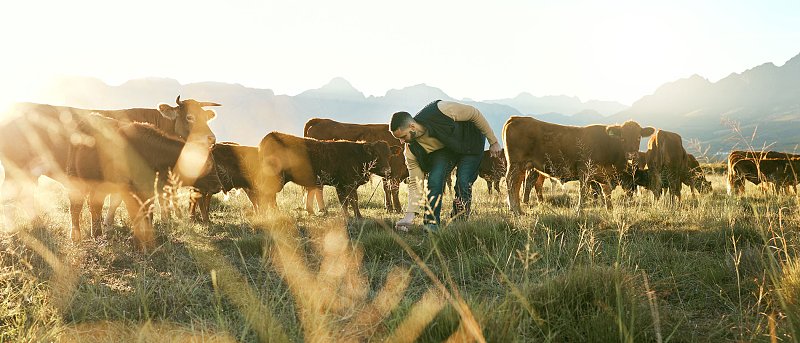 9μελή συντονιστικό όργανο των εκτροφέων Αυτόχθονων Φυλών, τι πρωτοβουλίες θα αναλάβει