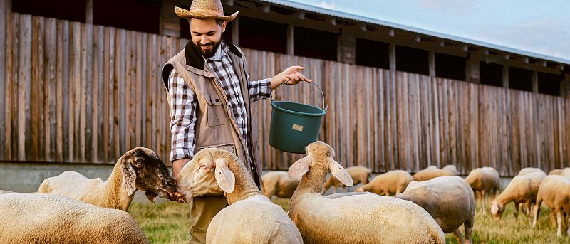 Στοχευμένη απαγόρευση βόσκησης, όπου ισχύσει να πληρώνουν άμεσα ζωοτροφές, καταστροφικό να συλλαμβάνουν κτηνοτρόφους
