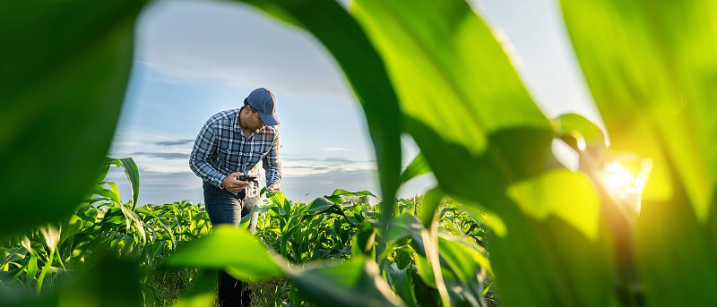 Από 1η Δεκεμβρίου ψηφιακή η έκδοση δελτίου αποστολή, έτοιμη η ΑΑΔΕ, τι να προσέξουν οι αγρότες