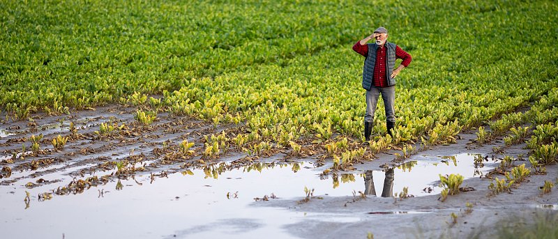 Ανάγκη παράτασης στις διορθώσεις Monitoring για να μην χαθούν ενισχύσεις, τι πληρωμές ακολουθούν από ΟΠΕΚΕΠΕ