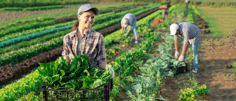 Καθιερώνεται  βραβείο αριστείας 1.000 ευρώ για παιδιά αγροτών, ενώ έχουμε και αύξηση τροφείων στο κατασκηνωτικό πρόγραμμα
