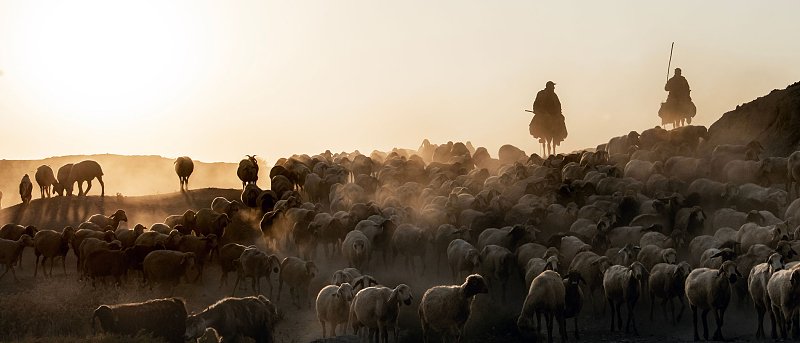 Πληρωμή 20 εκ. ευρώ για αποζημιώσεις σε κτηνοτρόφους λόγω ευλογιάς και θέλουμε να αποφύγουμε το  lockdown, λέει ο Τσιάρας
