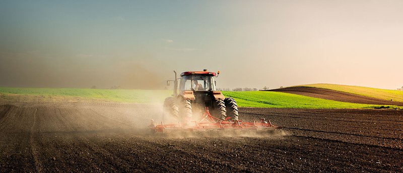 Προετοιμασία αγρού για βαμβάκι: Τα βήματα πριν μπει η σπαρτική