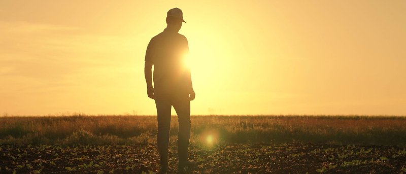 Τι βρήκε η DG AGRI στον ΟΠΕΚΕΠΕ: οι διαπιστώσεις, η επιτήρηση και το Σχέδιο Δράσης