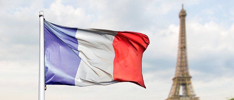 Στο Παρίσι τρακτέρ με αγρότες για να διαμαρτυρηθούν κατά της Mercosur και των προβλημάτων από οζώδη δερματίτιδα