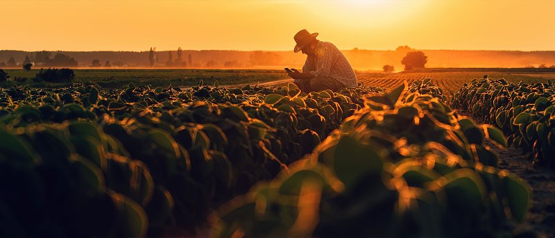 Μηνύματα στο κινητό λαμβάνουν αγρότες για να επιστρέψουν χρήματα από αποζημιώσεις λόγω Daniel και Elias
