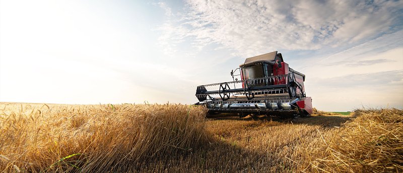 Κριθάρι: Τιμή που αγόρασε 25.000 τόνους η Τυνησία, προβλέψεις παραγωγής και εμπορίου για Ουκρανία, Τουρκία και Ρωσία