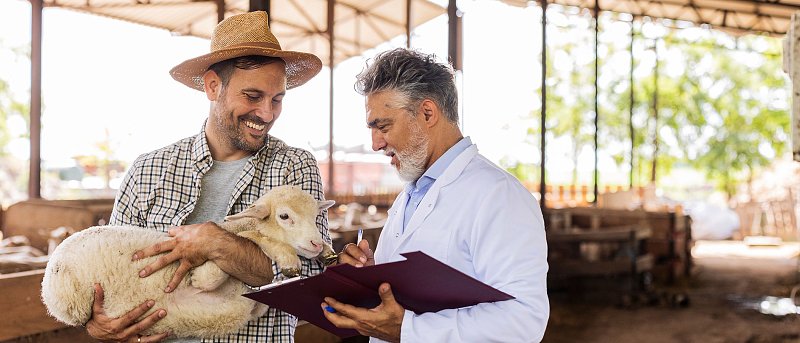 97 στρατιωτικοί κτηνίατροι στο πεδίο κατά της ευλογιάς, σε ποιες περιοχές θα πάνε