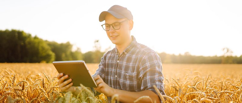 Η ΑΑΔΕ έκανε την ανάρτηση αποτελεσμάτων Monitoring για κίτρινα αγροτεμάχια, τι πρέπει να κάνουν οι παραγωγοί
