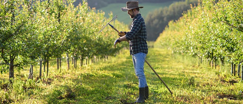 Η ΑΑΔΕ έκανε την ανάρτηση αποτελεσμάτων Monitoring, τι πρέπει να κάνουν οι παραγωγοί
