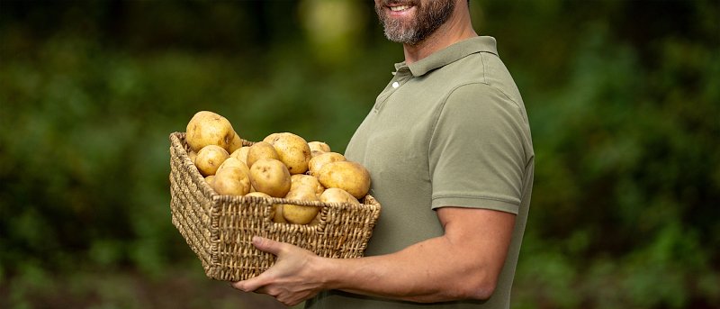 Πατάτες: Στα τελειώματα η Μεσσηνία ενώ ξεκίνησε η Αχαΐα, πτώση τιμών στα 45 λεπτά, ανάγκη στήριξης της καλλιέργειας