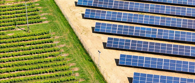Απειλείται ελληνικός αμπελώνας από ανεξέλεγκτη διασπορά φωτοβολταϊκών - Ποιες προτάσεις κατέθεσε στη Βουλή η πρόεδρος ΕΔΟΑΟ