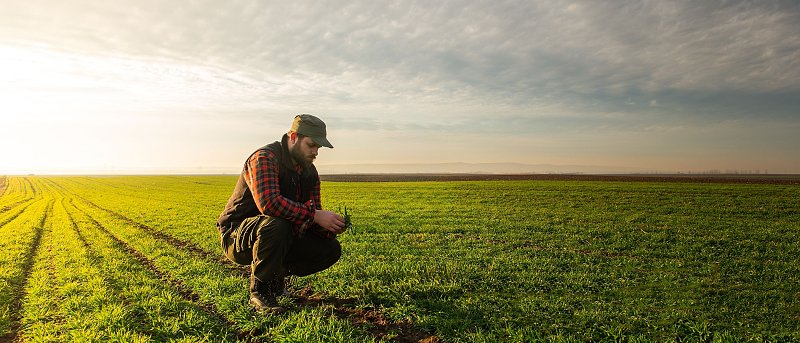 ΕΦΚΑ για ασφαλιστική ικανότητα έως 2027: καταβολή καθυστερούμενων εισφορών δεν συνεπάγεται αυτόματη ανανέωση