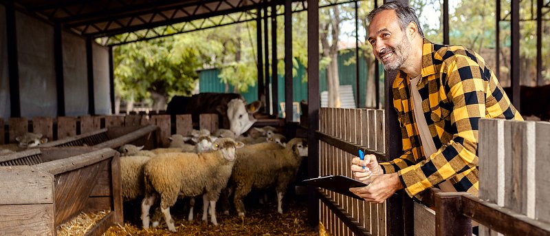 Ξεσηκώθηκαν οι κτηνοτρόφοι της Λέσβου, λένε όχι στις σφαγές ζώων λόγω αφθώδους πυρετού, ζητούν άμεσα εμβολιασμό